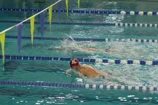 开云全站下载-张雨霏自由泳接力助队夺冠，张雨霏自由泳接力助队夺冠了吗